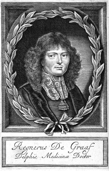 Bestand:Reinier de Graaf 17e eeuw.jpg